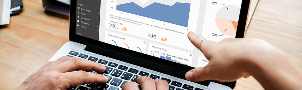 Growth Chart - Website ranking